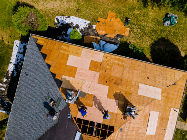 Best Roof Leak Repair  in Kaneohe, HI
