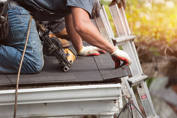 Best Roof Repair Services  in Kaneohe, HI