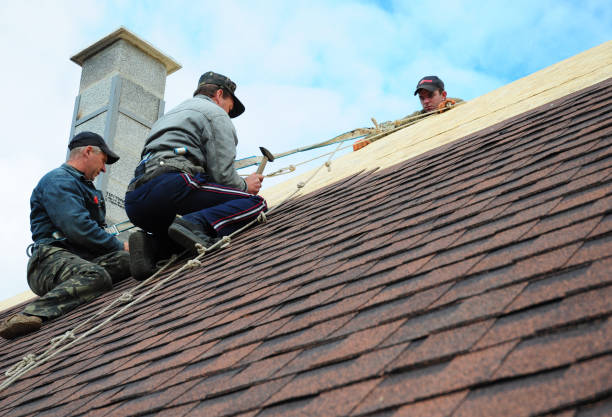 Best Residential Roofing Contractor  in Kaneohe, HI